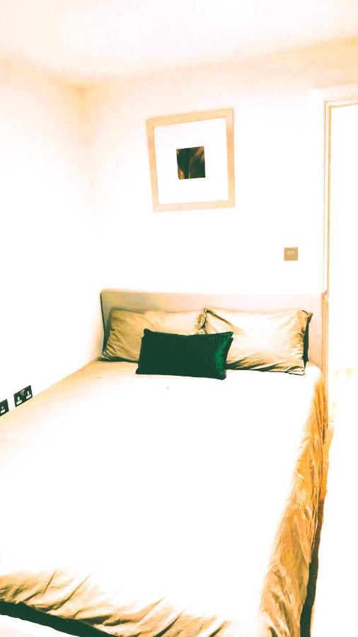 2 Bedroom Us Embassy Eye And Riverside View Panoramic Balcony Londra